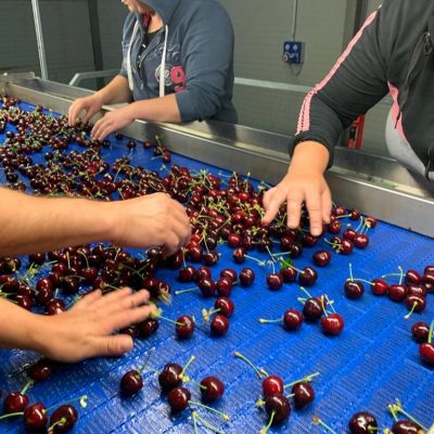 Immagine WhatsApp 2023-12-17 ore 13.31.42_6b94c016