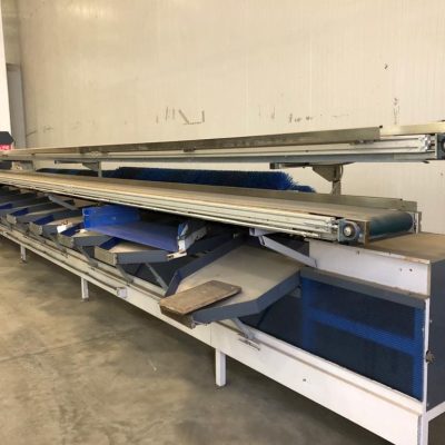 Immagine WhatsApp 2023-12-18 ore 10.42.14_ab420718