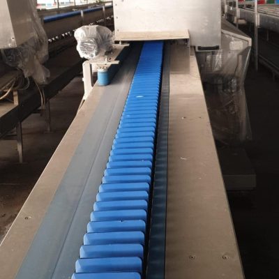 Immagine WhatsApp 2023-12-21 ore 11.54.38_be76c21b