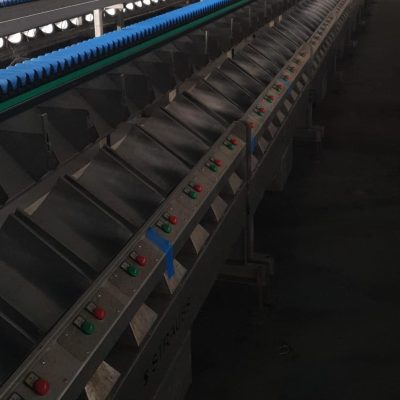 Immagine WhatsApp 2023-12-21 ore 11.54.39_4fbd47ee