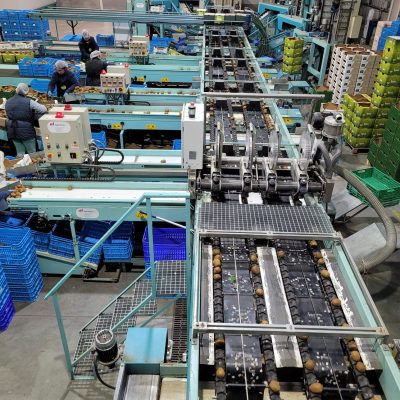 Immagine WhatsApp 2023-12-21 ore 13.18.53_6d1f9fa5