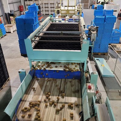 Immagine WhatsApp 2023-12-21 ore 13.18.53_6d6e57ca