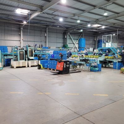 Immagine WhatsApp 2023-12-21 ore 13.18.54_321969d4