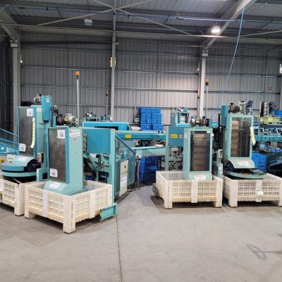 Immagine WhatsApp 2023-12-21 ore 13.18.54_71e80dac