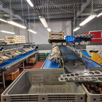 Immagine WhatsApp 2023-12-26 ore 16.46.01_16d75644