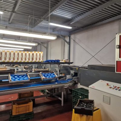 Immagine WhatsApp 2023-12-26 ore 16.46.02_0b0558e3