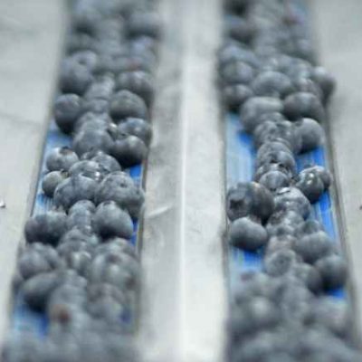 Immagine WhatsApp 2024-01-09 ore 09.51.27_140c54d1