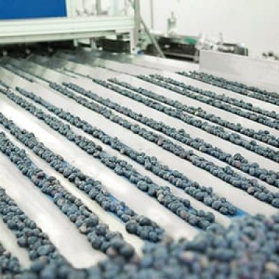 Immagine WhatsApp 2024-01-09 ore 09.51.27_faa853e6