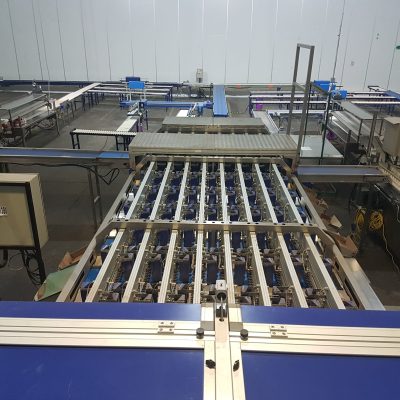 Immagine WhatsApp 2024-01-09 ore 09.55.35_985057a8