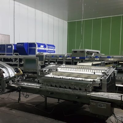 Immagine WhatsApp 2024-01-09 ore 09.57.19_be8b0ba8