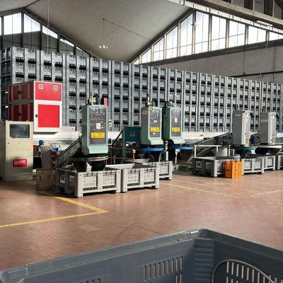 Immagine WhatsApp 2024-01-24 ore 16.39.05_727504b0