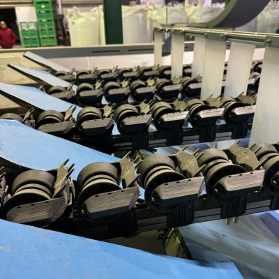 Immagine WhatsApp 2024-01-25 ore 12.05.52_00b62ff3