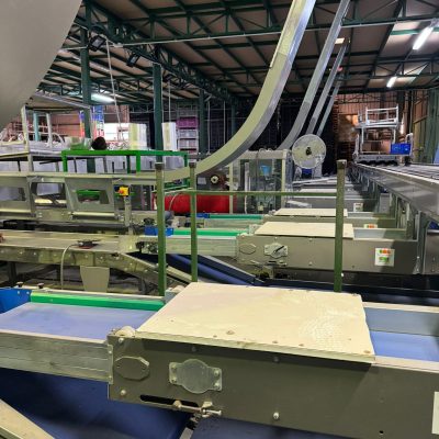 Immagine WhatsApp 2024-01-25 ore 12.05.52_72022adf