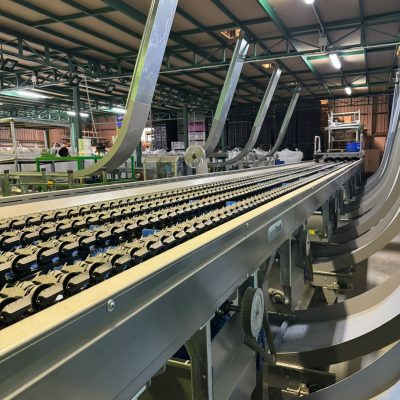 Immagine WhatsApp 2024-01-25 ore 12.05.53_5e87845f