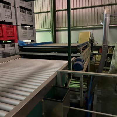 Immagine WhatsApp 2024-01-25 ore 12.05.55_30a3def2