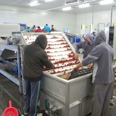 Immagine WhatsApp 2024-02-13 ore 09.09.38_9cf0536c