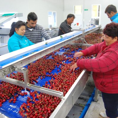 Immagine WhatsApp 2024-02-13 ore 09.09.40_89128c24