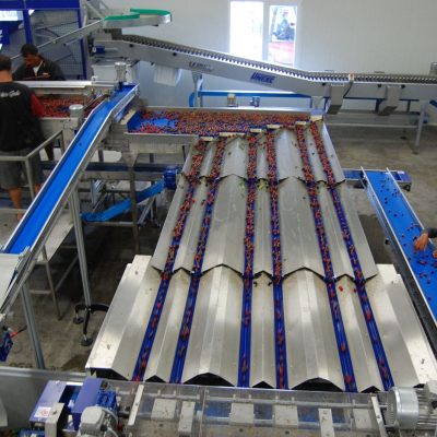 Immagine WhatsApp 2024-02-13 ore 09.09.41_ffe04ae8