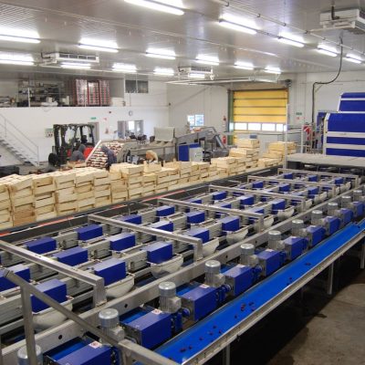 Immagine WhatsApp 2024-02-13 ore 09.09.43_3ab37bc9