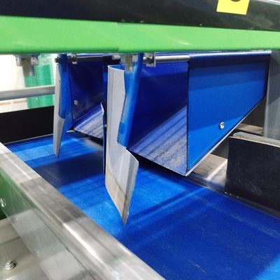 Immagine WhatsApp 2024-03-09 ore 00.53.17_b868f52a