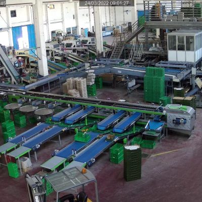 Immagine WhatsApp 2024-03-09 ore 13.14.56_21f65060