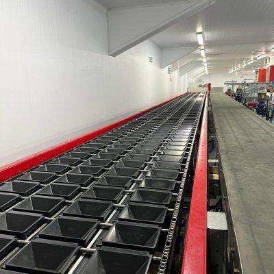 Immagine WhatsApp 2024-03-16 ore 15.59.09_363ae8ae