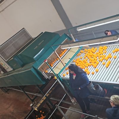 Immagine WhatsApp 2024-03-26 ore 11.41.53_b969593a