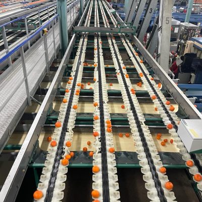 Immagine WhatsApp 2024-03-27 ore 09.21.42_7c85d443