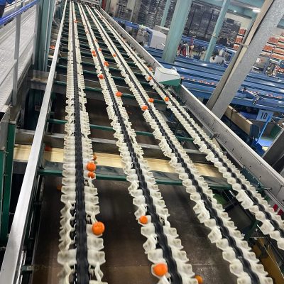 Immagine WhatsApp 2024-03-27 ore 09.21.42_e1599bda