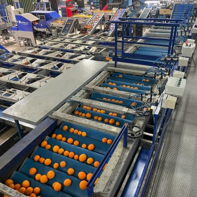 Immagine WhatsApp 2024-03-27 ore 09.21.42_ffd6b43a