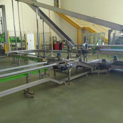 MAF RODA 2 LINES APPLE PRE-SORTING LINE Image2