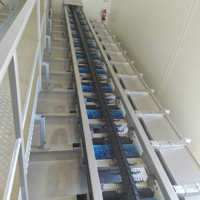 MAF RODA 2 LINES APPLE PRE-SORTING LINE Image5