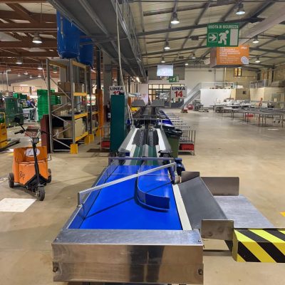 MAF RODA 2 LINES AVOCADO GRADING LINE Image3