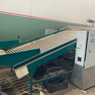 MAF RODA 4 LINES CITRUS SORTING LINE Image 2