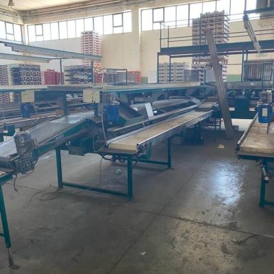 MAF RODA 4 LINES CITRUS SORTING LINE Image 6