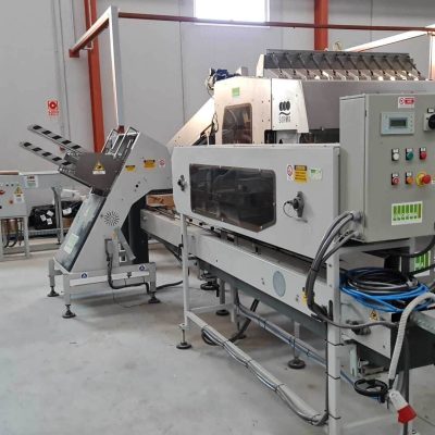 MULTIHEAD WEIGHERS Image2