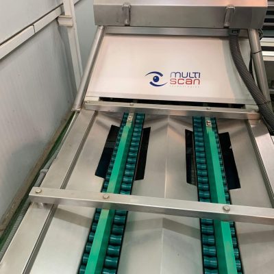 MULTISCAN FOUR LINES CHERRY TOMATO GRADING LINE Image4