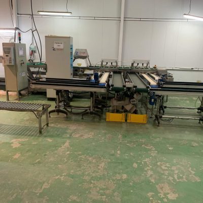 MULTISCAN FOUR LINES CHERRY TOMATO GRADING LINE Image5