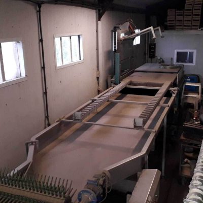 PERFECT 3 LINES APPLE GRADING LINE Image2