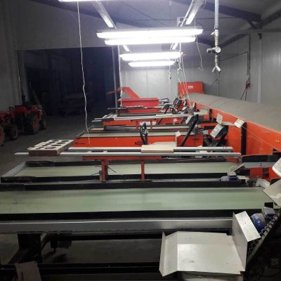 PERFECT 3 LINES APPLE GRADING LINE Image5