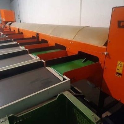 PERFECT APPLE LINE 3 LINES Image1