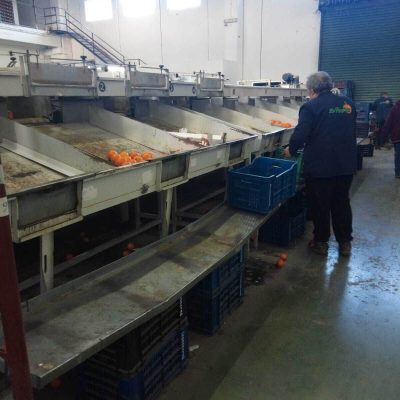 SAMMA 2 LINES ELECTRONIC SIZER Image3