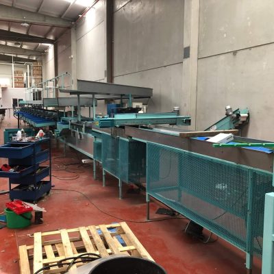 SAMMO 2 LINES AVOCADO SORTING LINE Image1