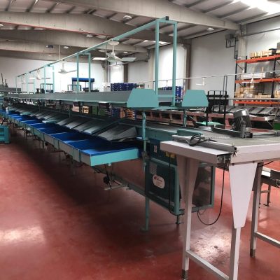 SAMMO 2 LINES AVOCADO SORTING LINE Image2