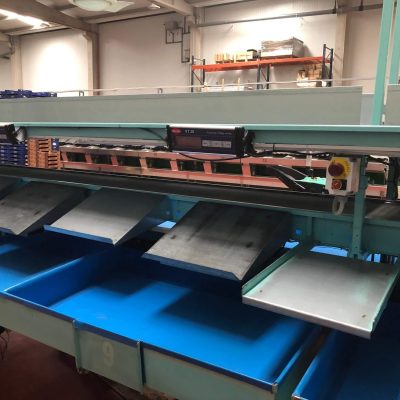 SAMMO 2 LINES AVOCADO SORTING LINE Image4