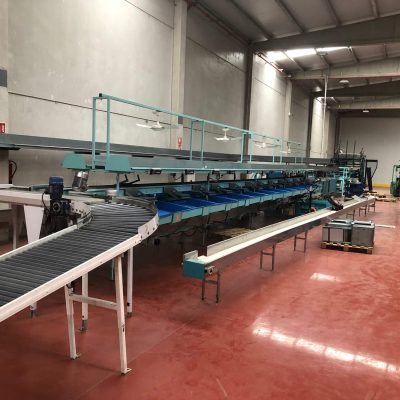 SAMMO 2 LINES AVOCADO SORTING LINE Image5