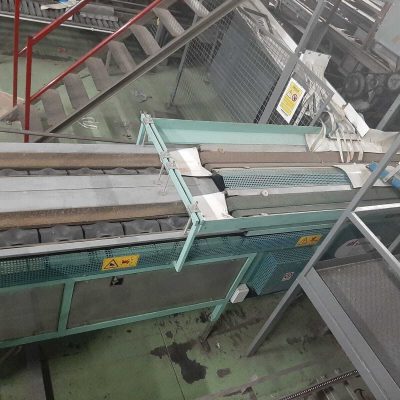 SAMMO 2 LINES MANGO SORTING LINE Image 2