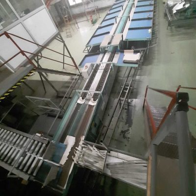 SAMMO 2 LINES MANGO SORTING LINE Image 3