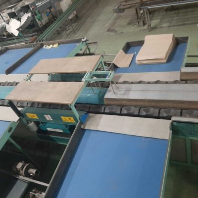 SAMMO 2 LINES MANGO SORTING LINE Image 4
