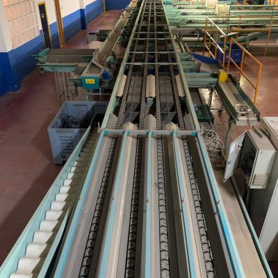 SAMMO 4 LINES USED ELECTRONIC SORTING LINE Image 08